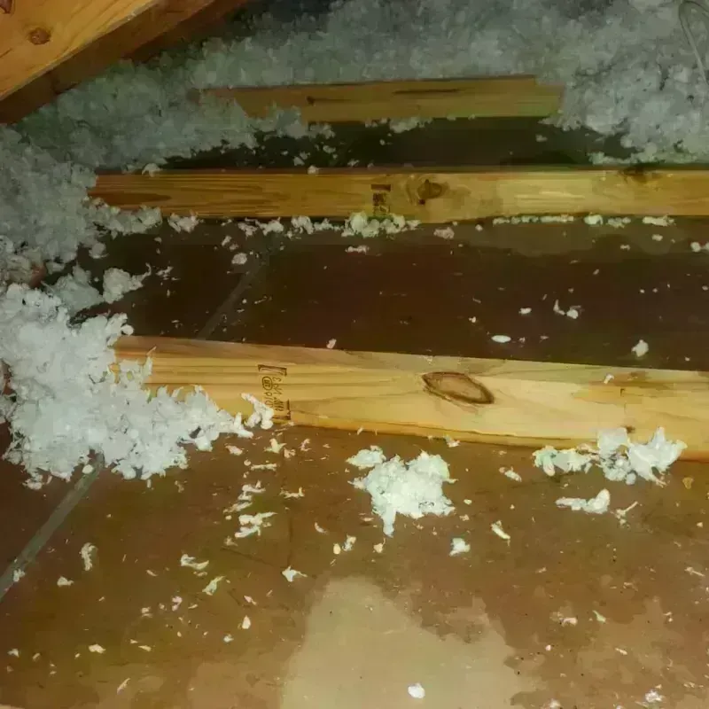 Attic Water Damage in North Newton, KS