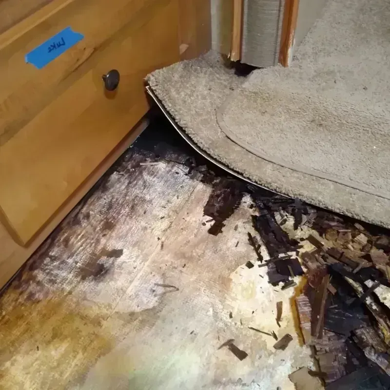 Wood Floor Water Damage in North Newton, KS